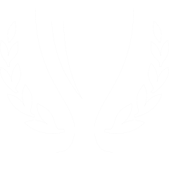 iconmonstr-trophy-13-240